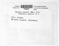 Image Associated With the Occurence